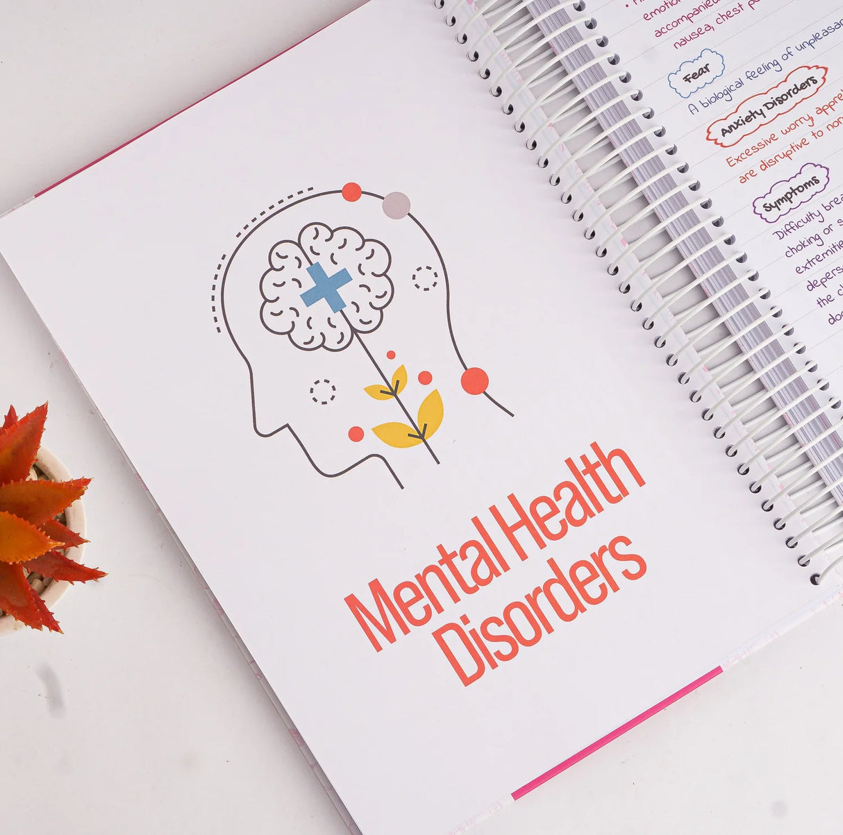 The Ultimate Nursing School Study Guide